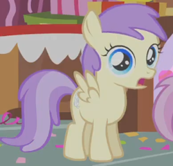 Size: 273x262 | Tagged: safe, screencap, alula, pluto, pegasus, pony, call of the cutie, g4, my little pony: friendship is magic, season 1, cropped, female, filly, foal, shocked, spread wings, standing, wings