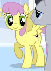Size: 201x281 | Tagged: safe, screencap, lucky clover, parasol, pegasus, pony, g4, season 1, sonic rainboom (episode), animation error, closed mouth, cropped, duo, female, male, mare, raised hoof, smiling, solo focus, spread wings, stallion, standing, wings