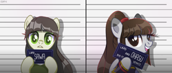 Size: 10000x4230 | Tagged: safe, artist:c1trine, artist:scarffist, oc, oc only, oc:ohasu, oc:sawa (ice1517), earth pony, pony, absurd resolution, armor, barbie mugshot meme, base used, bipedal, clothes, commission, duo, female, gritted teeth, kimono (clothing), lesbian, mare, meme, mugshot, oc x oc, ohasusawa, open mouth, ponytail, raised hoof, shipping, teeth, ych result