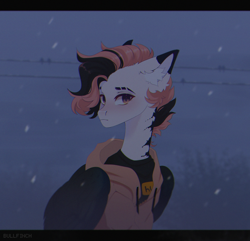 Size: 5350x5154 | Tagged: safe, artist:cherebushek, oc, oc only, pegasus, pony, absurd file size, clothes, coat markings, ear fluff, eyebrow slit, eyebrows, hoodie, snow, solo