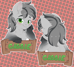 Size: 5060x4600 | Tagged: safe, artist:cutepencilcase, oc, oc only, oc:cassie, pony, solo