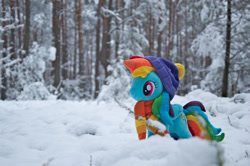Size: 1280x850 | Tagged: safe, artist:mgrdash, rainbow dash, pegasus, pony, g4, clothes, forest, irl, nature, photo, plushie, ponies in real life, snow, solo, tree, winter, winter outfit