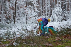 Size: 1280x850 | Tagged: safe, artist:mgrdash, rainbow dash, pegasus, pony, g4, clothes, forest, irl, nature, photo, plushie, ponies in real life, snow, solo, tree, winter outfit