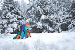 Size: 1280x850 | Tagged: safe, artist:mgrdash, rainbow dash, pegasus, pony, g4, clothes, forest, irl, nature, outdoors, photo, plushie, snow, solo, tree, winter, winter outfit