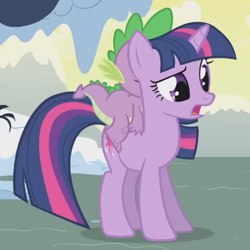 Size: 512x512 | Tagged: safe, screencap, spike, twilight sparkle, dragon, pony, unicorn, g4, season 1, winter wrap up, cropped, cute, dragons riding ponies, duo, eyebrows, female, frown, looking right, male, mare, open mouth, raised eyebrow, riding, spike riding twilight, standing, twiabetes, unicorn twilight