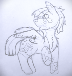 Size: 1880x2000 | Tagged: safe, artist:lil_vampirecj, oc, oc only, pegasus, pony, chest fluff, feral, fluffy, full body, fur, hair, hooves, male, mane, neck fluff, simple background, sketch, solo, tail, tail fluff, traditional art, white background, wings