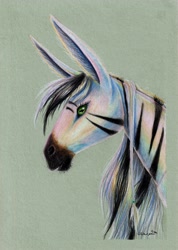 Size: 3477x4896 | Tagged: safe, artist:cahandariella, oc, oc:cahan, horse, zebra, bust, colored pencil drawing, female, looking at you, mare, portrait, realistic, solo, traditional art