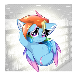 Size: 2000x2000 | Tagged: safe, artist:jubyskylines, rainbow dash, pegasus, pony, g4, armpits, bookshelf, chest fluff, colored wings, female, heart, heart eyes, high res, solo, two toned wings, wingding eyes, wings