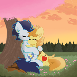 Size: 3370x3410 | Tagged: safe, artist:nordicgoat, braeburn, soarin', earth pony, pegasus, pony, g4, cherry blossoms, cuddling, cute, daaaaaaaaaaaw, duo, flower, flower blossom, gay, high res, love, male, romance, romantic, scenery, ship:soarburn, shipping, sleeping, sunset, tree