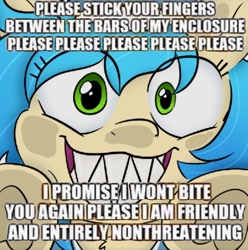 Size: 640x646 | Tagged: safe, artist:pink-pone, oc, oc only, oc:ivory (pink-pone), earth pony, pony, blatant lies, cute, female, filly, foal, grin, looking at you, meme, sharp teeth, smiling, solo, teeth, text