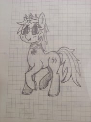 Size: 3472x4624 | Tagged: safe, oc, oc:lonely edelweiss, pony, unicorn, graph paper, solo, traditional art