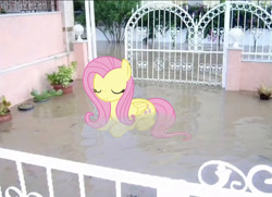 Size: 1125x813 | Tagged: safe, artist:coffeefueledchainsaw, edit, fluttershy, pegasus, pony, g4, female, flooding, liminal space, lying down, mare, photo, photoshop, prone, solo, water