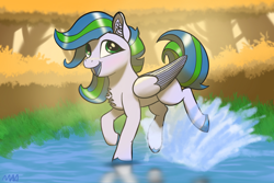 Size: 3072x2048 | Tagged: safe, artist:maonyman, oc, oc only, oc:puddle jump, pegasus, pony, /mlp/, chest fluff, colored hooves, colored wings, ear fluff, female, folded wings, grass, high res, hopping, leaves, lighting, mare, open mouth, pond, puddle, secret santa, shading, shiny hooves, smiling, solo, splash, splashing, striped mane, striped tail, sunlight, tail, tree, two toned hair, two toned mane, two toned tail, two toned wings, water, wings