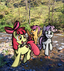 Size: 1723x1907 | Tagged: safe, artist:blankedsoul, apple bloom, scootaloo, sweetie belle, earth pony, pegasus, pony, unicorn, g4, cmc day, cutie mark crusaders, female, filly, foal, irl, photo, ponies in real life, river, water