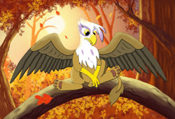 Size: 3033x2058 | Tagged: safe, artist:jack-varus, gilda, griffon, g4, autumn, crying, female, forest background, high res, leaves, sad, solo, tree branch