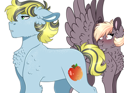 Size: 1600x1200 | Tagged: safe, artist:artistcoolpony, oc, oc only, oc:hazel skies, oc:jonagold, earth pony, pegasus, pony, :t, blushing, chest fluff, duo, duo male and female, female, floppy ears, flustered, male, mare, oc x oc, offspring, offspring shipping, parent:applejack, parent:dumbbell, parent:rainbow dash, parent:soarin', parents:dumbdash, parents:soarinjack, shipping, simple background, spread wings, stallion, straight, transparent background, wingboner, wings