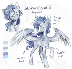 Size: 1168x1124 | Tagged: safe, artist:lutraviolet, oc, oc only, oc:storm cloud, pegasus, pony, chest fluff, commission, female, mare, raised hoof, reference sheet, solo, unshorn fetlocks