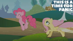 Size: 2000x1125 | Tagged: safe, edit, edited screencap, editor:quoterific, screencap, fluttershy, pinkie pie, earth pony, pegasus, pony, dragonshy, g4, season 1, duo, duo female, female, mare, pronking, running