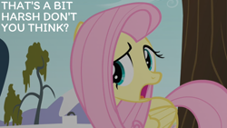 Size: 2000x1125 | Tagged: safe, edit, edited screencap, editor:quoterific, screencap, fluttershy, pegasus, pony, bats!, g4, female, implied bats, mare, open mouth, reaction image, solo