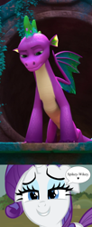 Size: 1080x2645 | Tagged: safe, edit, edited screencap, screencap, rarity, spike, dragon, pony, unicorn, g4, g5, my little pony: make your mark, my little pony: make your mark chapter 6, official, simple ways, the isle of scaly, spoiler:g5, spoiler:my little pony: make your mark chapter 6, spoiler:mymc06e01, female, heart, heart eyes, male, mare, ship:sparity, shipping, speech bubble, spike (g5), spikey wikey, straight, the isle of scaly (location), wingding eyes, youtube shorts