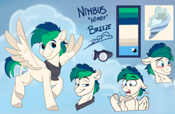Size: 3450x2250 | Tagged: safe, artist:rutkotka, oc, oc only, oc:nimbus breeze, pegasus, pony, character design, clothes, cutie mark, embarrassed, goggles, high res, male, panicking, pegasus oc, reference sheet, scarf, smug, stallion