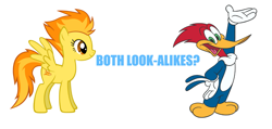 Size: 1359x647 | Tagged: safe, artist:durpy, edit, spitfire, bird, pegasus, pony, woodpecker, g4, '90s, 2000s, blue text, crossover, cute, female, look-alike, low effort, male, mare, op is on drugs, simple background, smiling, text, the new woody woodpecker show, universal studios, vector, walter lantz, white background, woody woodpecker, woody woodpecker (series)