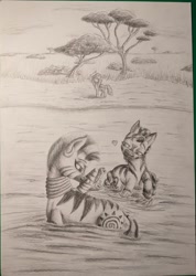 Size: 856x1200 | Tagged: safe, artist:bruttas46, gummy, pinkie pie, zecora, oc, earth pony, pony, zebra, g4, female, heart, kidnapped, kissing, mare, nature, pencil drawing, photo, savanna, scared, traditional art, tree, water
