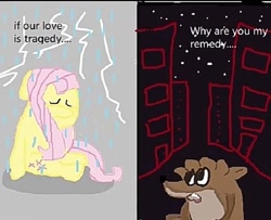 Size: 1073x873 | Tagged: artist needed, source needed, safe, fluttershy, pegasus, pony, raccoon, g4, city, crossover, crossover shipping, crying, duo, duo male and female, female, lightning, male, mare, meme, night, rain, regular show, rigby (regular show), sad, shipping