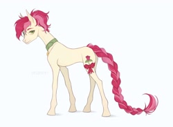 Size: 2560x1883 | Tagged: safe, artist:unamori, roseluck, pony, g4, alternate hairstyle, bow, braid, braided tail, collar, commission, commissioner:doom9454, concave belly, hooves, leg band, long legs, long tail, pet tag, pony pet, ponytail, quadrupedal, ribbon, rosepet, side view, simple background, skinny, solo, standing, sternocleidomastoid, tail, thin, white background