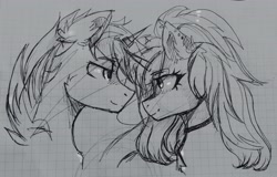 Size: 4030x2583 | Tagged: safe, artist:hysteriana, oc, oc only, oc:evening lake, oc:svetomech, pony, unicorn, choker, dark, duo, duo male and female, ear fluff, female, gray background, horn, horn ring, looking at each other, looking at someone, male, oc x oc, ponytail, ring, shipping, simple background, sketch, svetolake