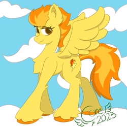 Size: 2800x2800 | Tagged: safe, artist:core_a0000, spitfire, pegasus, pony, g4, chest fluff, concave belly, cute, cutefire, female, high res, hoof fluff, leg fluff, mare, solo, standing, unshorn fetlocks