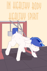 Size: 2400x3600 | Tagged: safe, artist:chapaevv, shining armor, pony, unicorn, g4, gym, high res, male, patreon, patreon reward, solo, text, training, workout