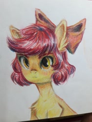 Size: 1200x1600 | Tagged: safe, artist:club204063013, apple bloom, earth pony, pony, g4, alternate hairstyle, bust, female, filly, foal, photo, portrait, short hair, solo, traditional art