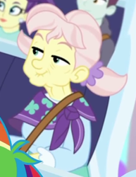 Size: 283x367 | Tagged: safe, screencap, equestria girls, equestria girls specials, g4, my little pony equestria girls: better together, my little pony equestria girls: rollercoaster of friendship, background human, elderly, female, unnamed human