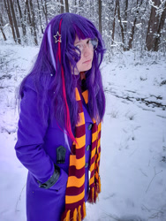 Size: 3000x4000 | Tagged: safe, artist:yuris, sci-twi, twilight sparkle, human, equestria girls, g4, clothes, cosplay, costume, forest, gryffindor, harry potter (series), irl, irl human, nature, photo, scarf, snow, solo, striped scarf, tree, ukraine, winter