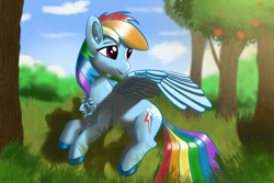 Size: 3072x2048 | Tagged: safe, artist:maonyman, rainbow dash, pegasus, pony, g4, apple, chest fluff, cloud, colored hooves, colored wings, ear fluff, female, food, forest, forest background, grass, high res, lighting, lying down, mare, nature, on side, shading, sky, solo, spread wings, tree, turned head, two toned wings, wing fluff, wings