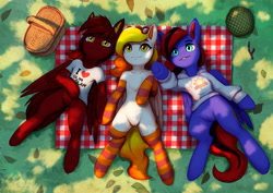 Size: 4453x3149 | Tagged: safe, artist:mrscroup, oc, oc only, oc:starfyre, pegasus, pony, basket, chest fluff, clothes, featureless crotch, grass, helmet, hoodie, human shoulders, leaves, lying down, picnic, picnic basket, picnic blanket, pointing, shirt, socks, striped socks, trio
