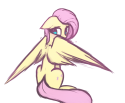 Size: 1991x1642 | Tagged: safe, artist:lu.de, fluttershy, pegasus, pony, g4, blushing, cute, female, floppy ears, looking back, mare, partially open wings, rear view, shy, shyabetes, simple background, sitting, solo, turned head, white background, wings