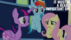 Size: 2000x1125 | Tagged: safe, edit, edited screencap, editor:quoterific, screencap, fluttershy, rainbow dash, twilight sparkle, alicorn, pony, a matter of principals, g4, glowing cutie mark, twilight sparkle (alicorn), twilight's castle