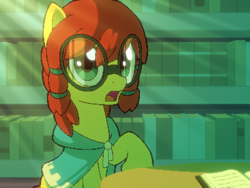 Size: 800x600 | Tagged: safe, artist:rangelost, oc, oc only, oc:honourshine, earth pony, pony, cyoa:d20 pony, book, bookshelf, cyoa, earth pony oc, first person view, glasses, library, looking at you, offscreen character, pixel art, pov, solo, story included, twilight's castle, twilight's castle library