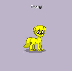 Size: 390x385 | Tagged: safe, oc, oc:tawny petal, pony, wolf, pony town, female, female oc, non-pony oc, simple background, solo, tail, wolf oc, yellow fur, yellow mane, yellow tail
