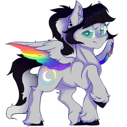 Size: 2000x2000 | Tagged: safe, artist:dankpegasista, derpibooru exclusive, oc, oc only, oc:lunar dash, pegasus, pony, 2024 community collab, derpibooru community collaboration, bangs, black and white mane, cel shading, colored eyelashes, colored lineart, colored pupils, colored wings, cross, digital art, ear fluff, ear piercing, eyebrows, faded cutie mark, feathered wings, female, full body, fully shaded, green eyes, grey fur, heart, heart eyes, high res, highlights, jewelry, krita, long eyelashes, long mane, long tail, looking at you, mare, multicolored wings, pegasus oc, piercing, png, ponytail, posing for photo, rainbow wings, raised hoof, shading, shiny mane, simple background, smiling, smiling at you, soft shading, solo, spread wings, standing, sternocleidomastoid, tail, tattoo, three quarter view, transparent background, unshorn fetlocks, wall of tags, wingding eyes, wings