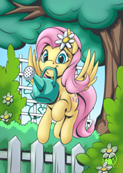 Size: 2171x3070 | Tagged: safe, artist:mysticalpha, fluttershy, pegasus, pony, g4, cute, female, fence, flower, flower in hair, high res, mare, mouth hold, shyabetes, solo, tree, trellis, watering can