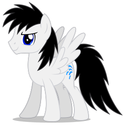 Size: 3823x3857 | Tagged: safe, artist:creedyboy124, oc, oc only, oc:shane park, pegasus, pony, g4, high res, male, simple background, smiling, solo, stallion, transparent background