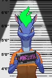 Size: 600x900 | Tagged: safe, artist:hitsuji, tianhuo (tfh), dragon, hybrid, longma, anthro, them's fightin' herds, alternate color palette, clothes, community related, jumpsuit, looking at you, mane of fire, mugshot, prison outfit, solo