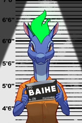 Size: 600x900 | Tagged: safe, artist:hitsuji, edit, baihe (tfh), tianhuo (tfh), dragon, hybrid, longma, anthro, them's fightin' herds, clothes, community related, jumpsuit, looking at you, mugshot, prison outfit, solo