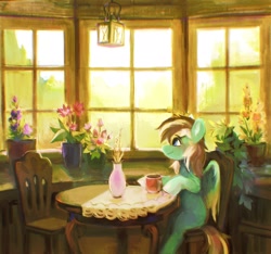 Size: 2668x2496 | Tagged: safe, artist:dearmary, oc, oc only, pegasus, pony, chair, flower, flower pot, high res, lantern, male, sitting, solo, stallion, table, window