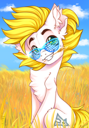 Size: 1668x2388 | Tagged: safe, alternate version, artist:falafeljake, oc, oc only, oc:alabastor amril, earth pony, pony, chest fluff, cloud, commission, cute, ear fluff, earth pony oc, eyebrows, field, food, grin, looking at you, mouth hold, ocbetes, shutter shades, signature, sitting, sky, smiling, smiling at you, solo, straw in mouth, sunglasses, ukraine, wheat, ych result
