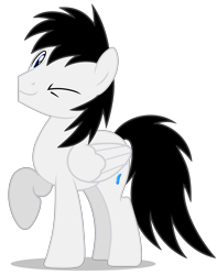 Size: 3458x4388 | Tagged: safe, artist:creedyboy124, oc, oc only, oc:shane park, pegasus, pony, g4, looking at you, male, one eye closed, simple background, solo, stallion, transparent background, vector, wink, winking at you