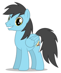 Size: 3200x3865 | Tagged: safe, artist:creedyboy124, oc, oc only, oc:seong lee, pegasus, pony, g4, high res, male, simple background, smiling, solo, stallion, transparent background, vector